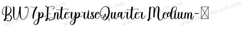 BW7pEnterpriseQuarter Medium字体转换
